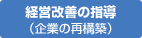 経営改善の指導（企業の再構築）